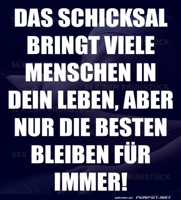 10 sch�ne Spr�che und Lebensweisheiten aus...