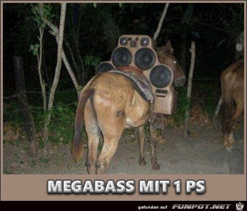 Megabass Megabass