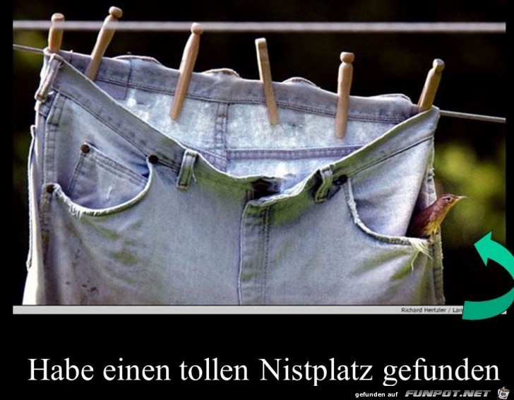 toller Nistplatz toller Nistplatz