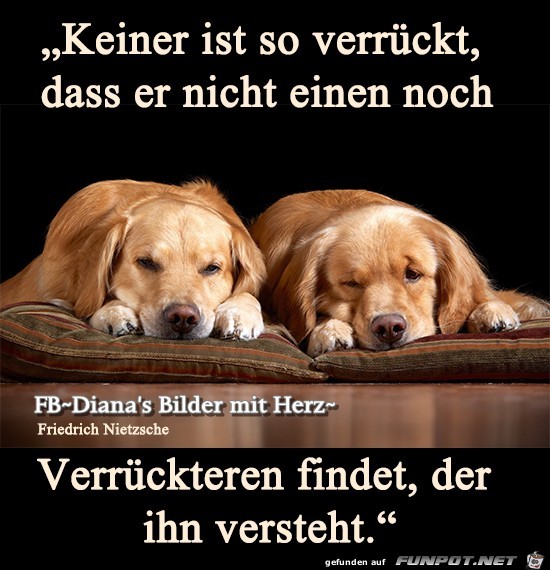 Keiner ist so verrueckt Keiner ist so verrueckt