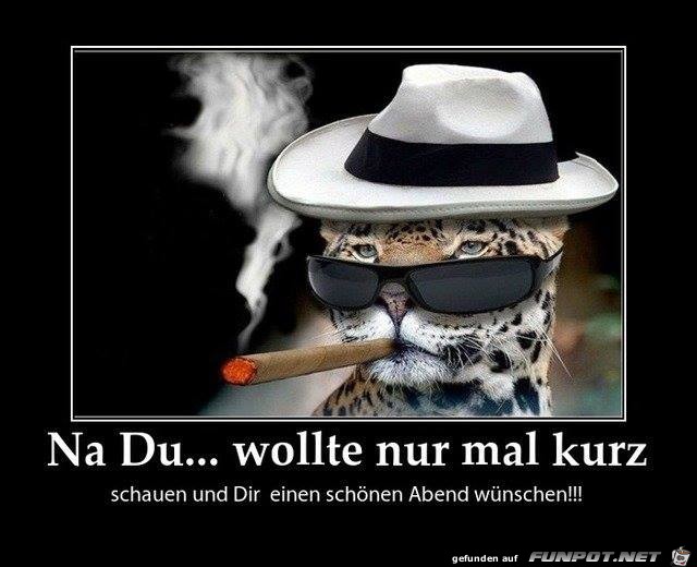 Na Du Na Du