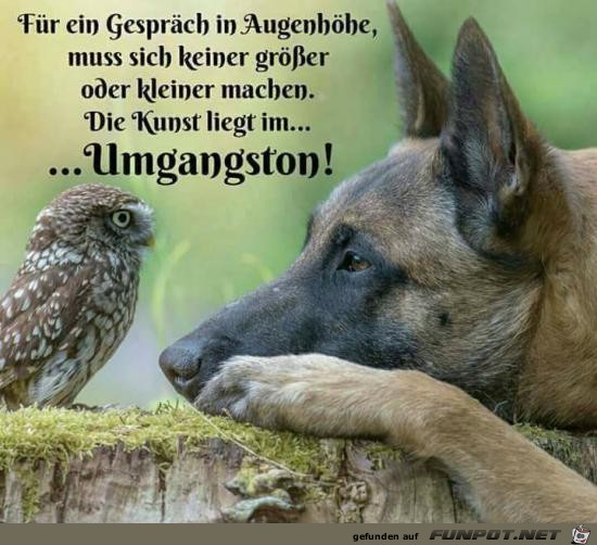 Der Umgangston Der Umgangston