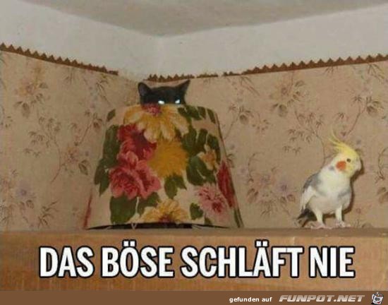 Das Bse schlft nie