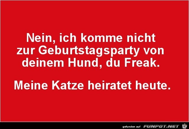 Du Freak Du Freak