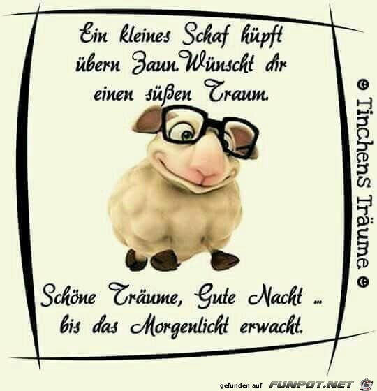 Ein kleines Schaf Ein kleines Schaf