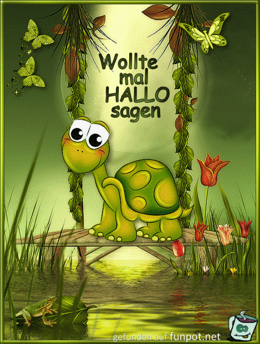 Wollte mal Wollte mal