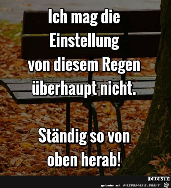 ich mag die Einstellung von diesem Regen überhaupt nicht.... ich mag die Einstellung von diesem Regen überhaupt nicht....
