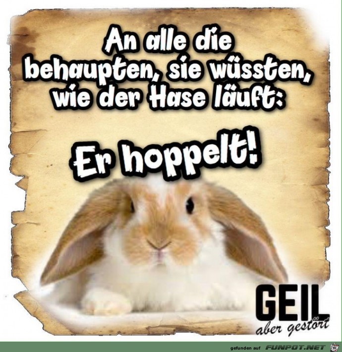 An alle die behaupten An alle die behaupten