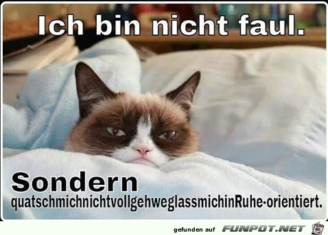 Nicht faul Nicht faul