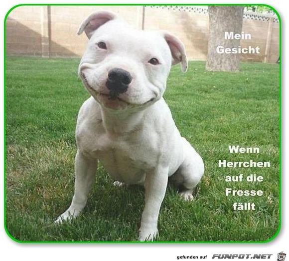 Mein Gesicht