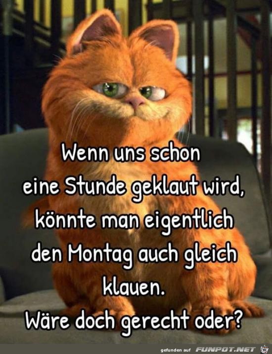 wenn uns schon eine Stunde geklaut wird........ wenn uns schon eine Stunde geklaut wird........