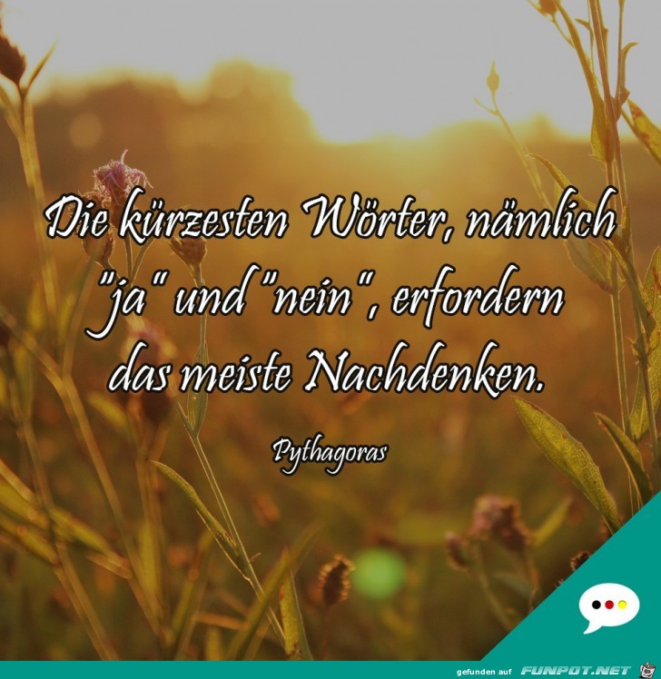 die kürzesten Wörter........ die kürzesten Wörter........