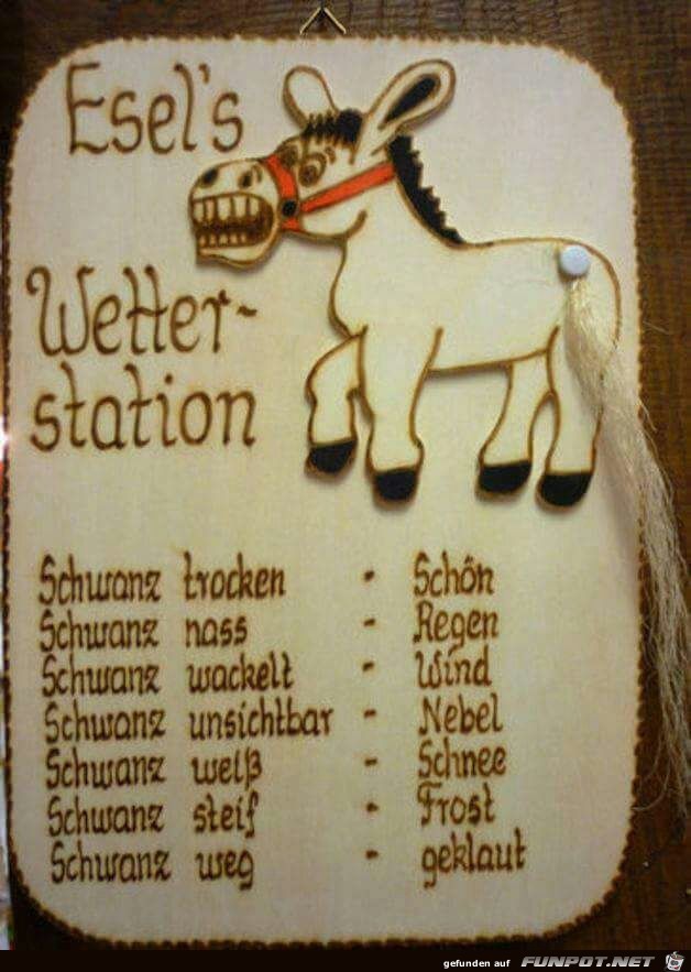 ELSEL's Wetterstation