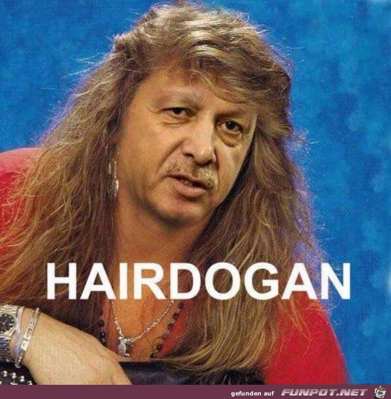 Hairdogan