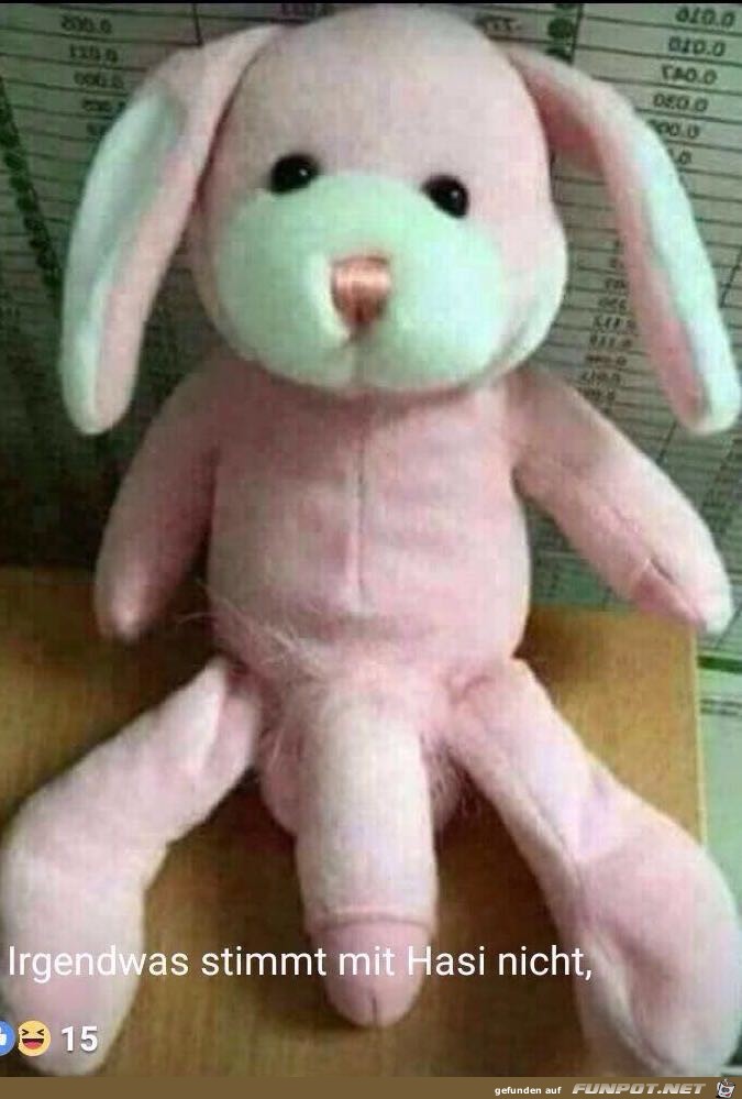 Mit Hasi stimmt was nicht Mit Hasi stimmt was nicht