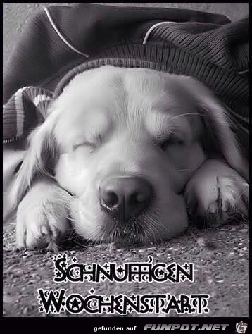 Wochenstart Wochenstart