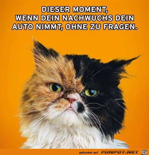 Dieser Moment