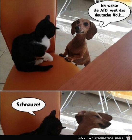 Schnauze Schnauze