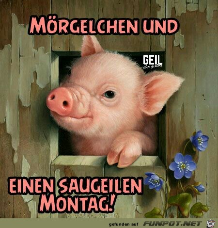 Einen Saugeilen Montag