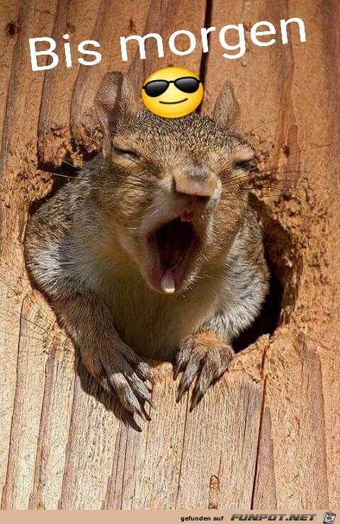 Bis morgen Bis morgen
