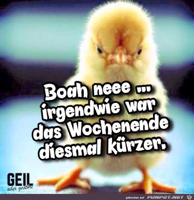 Boah neee Boah neee