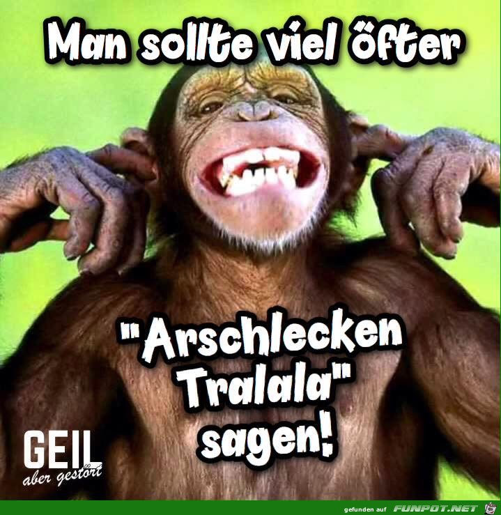 Man sollte oefter Man sollte oefter