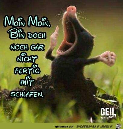 Bin noch gar nicht fertig Bin noch gar nicht fertig