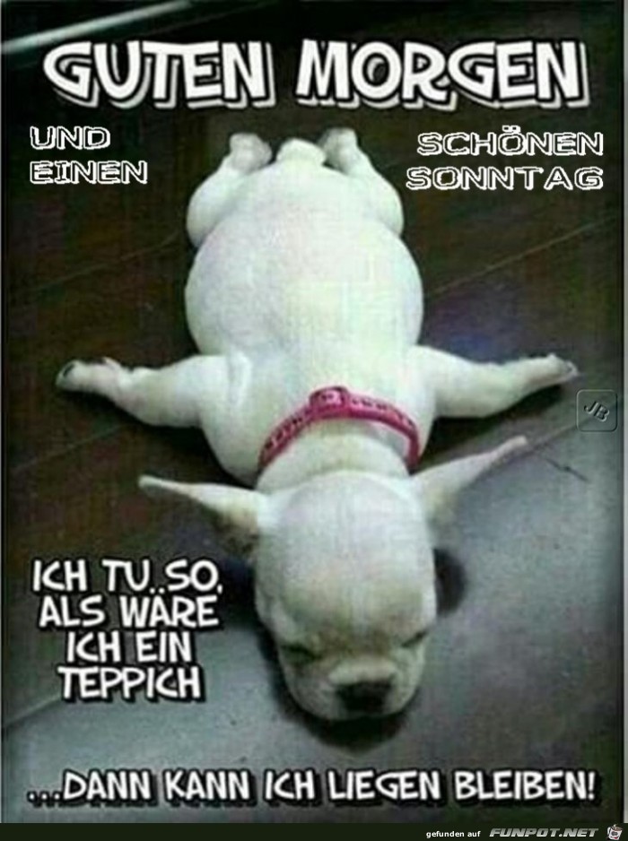Sonntag Sonntag