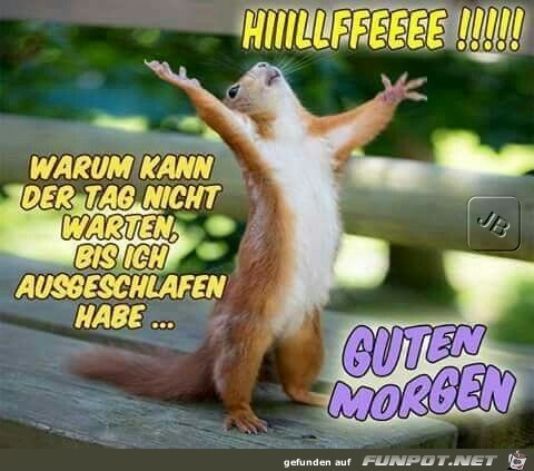 Guten Morgen