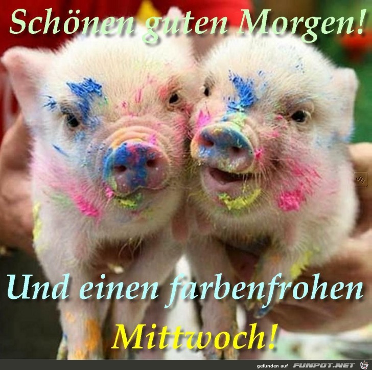 Mittwoch Mittwoch