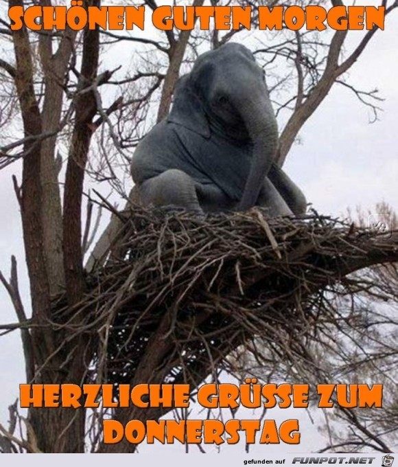 Donnerstag Donnerstag