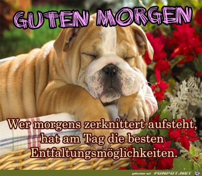 Guten Morgen