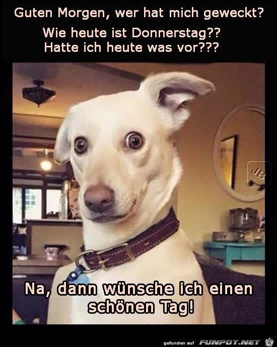 Donnerstag Donnerstag