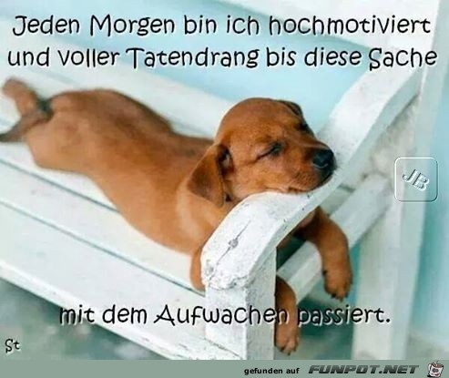 Jeden Morgen Jeden Morgen
