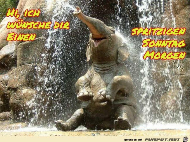 Sonntag Sonntag