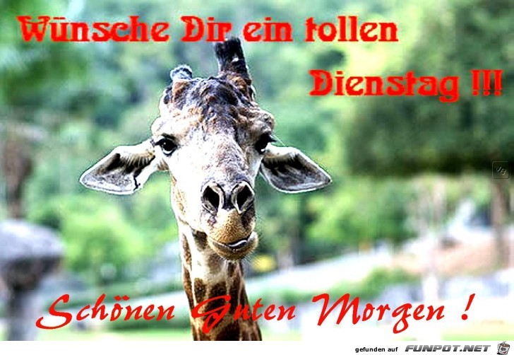Dienstag Dienstag
