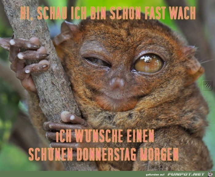 Donnerstag Donnerstag