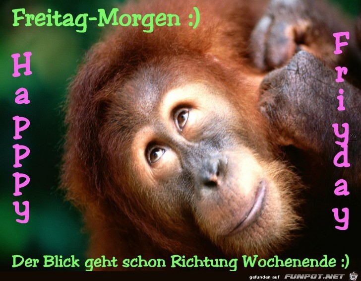 Freitag Freitag