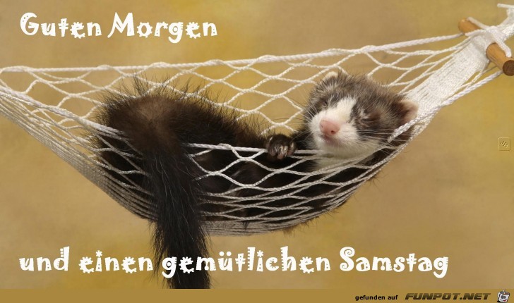 Samstag Samstag