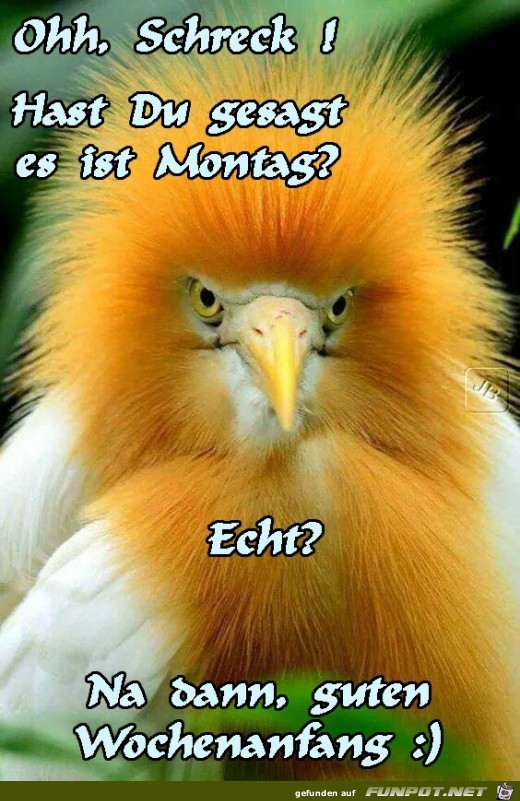 Montag Montag