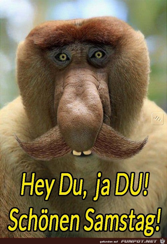 Samstag Samstag