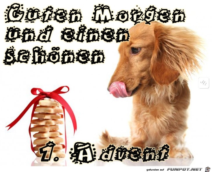 1. Advent 1. Advent
