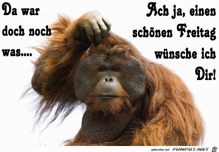 Freitag Freitag