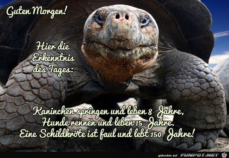 Erkenntnis des Tages Erkenntnis des Tages