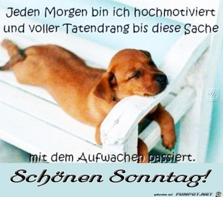 Sonntag Sonntag