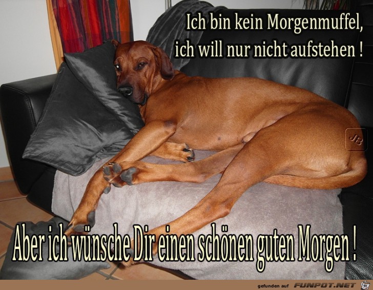 Kein Morgenmuffel