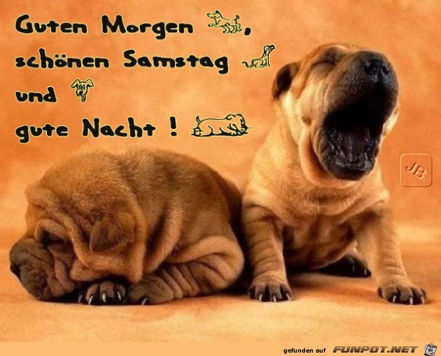Guten Morgen Guten Morgen