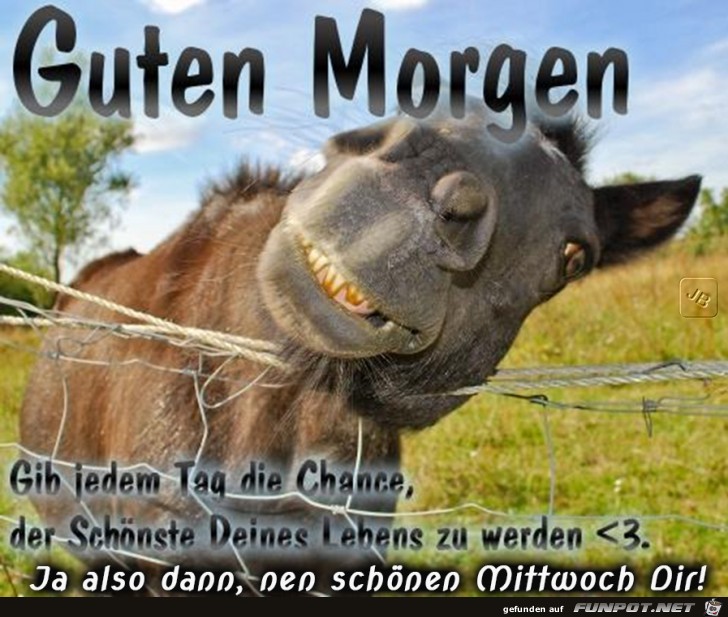 Mittwoch Mittwoch