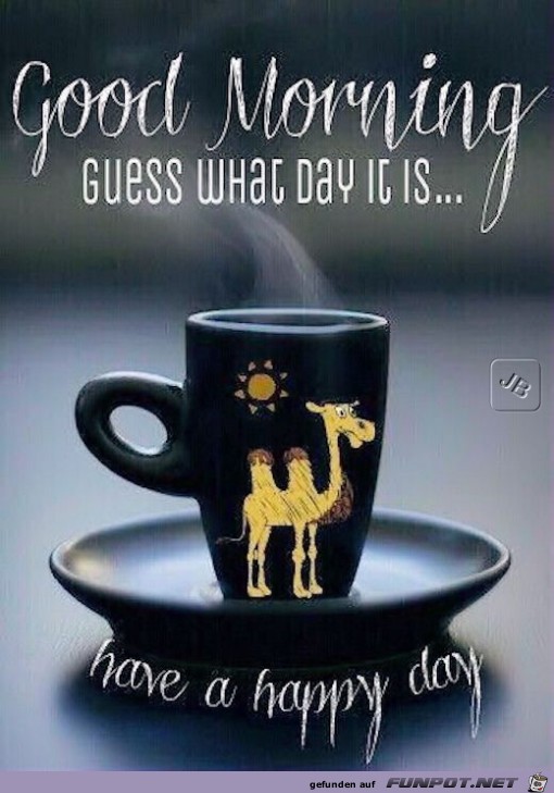 Good Morning Good Morning