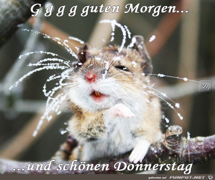 Donnerstag